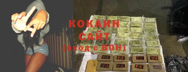 дживик Богородск