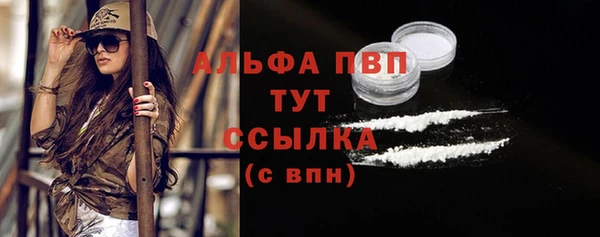 прущие крисы Белокуриха