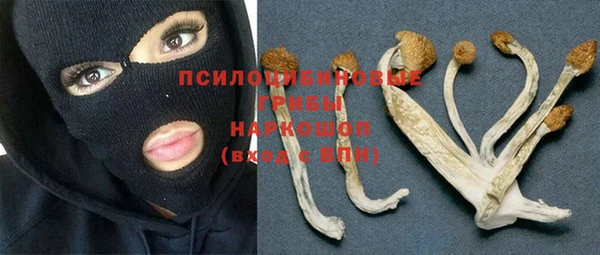дживик Богородск