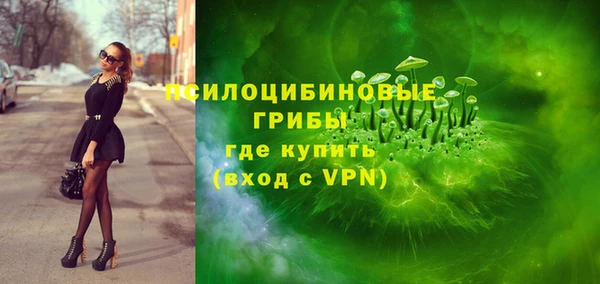 круглые Богородицк
