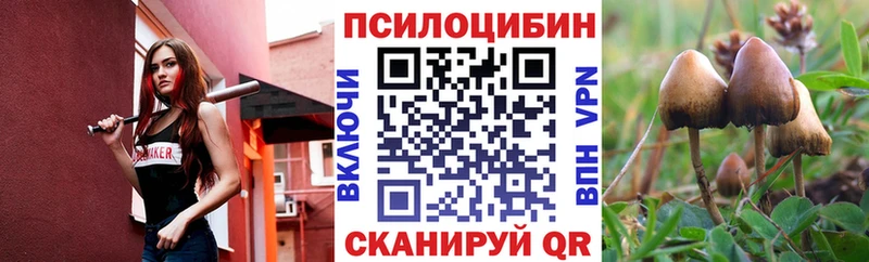 Галлюциногенные грибы MAGIC MUSHROOMS  закладка  blacksprut ССЫЛКА  Бородино 